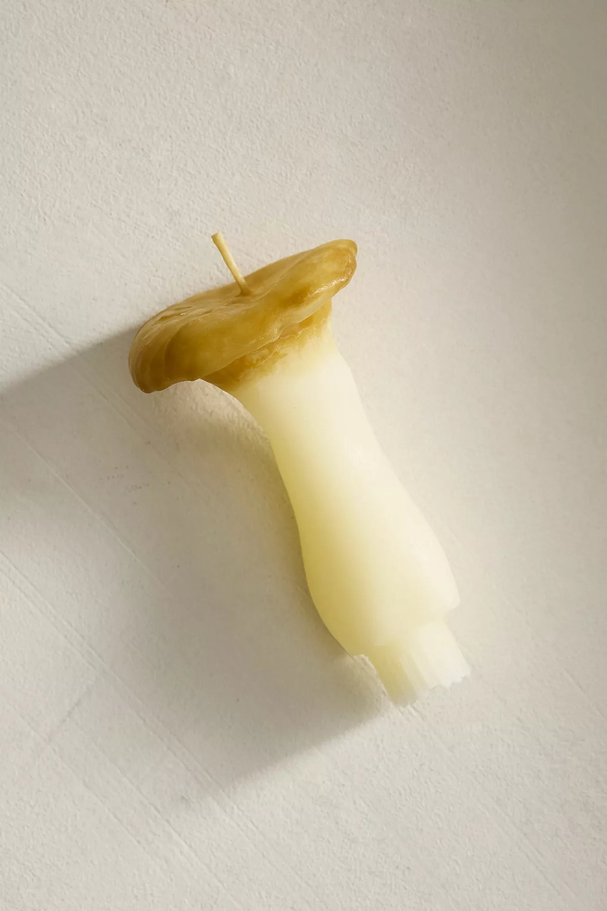 King Oyster Mushroom Candle