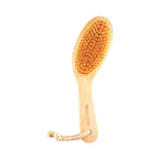Dry Body Brush