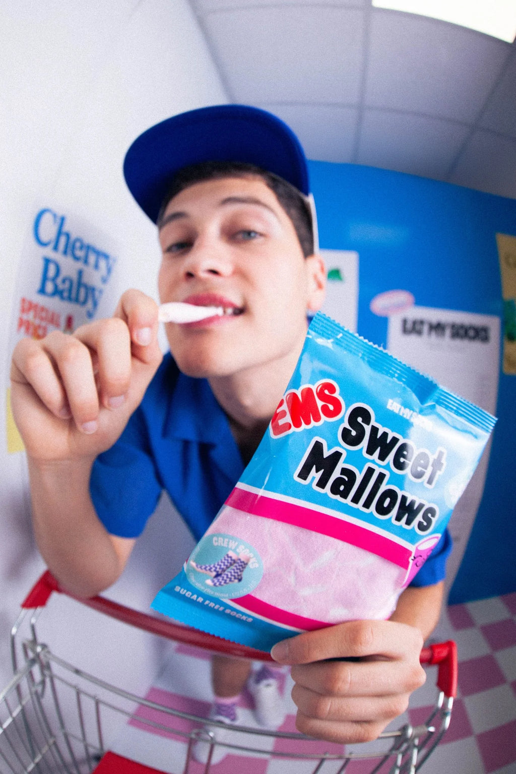 Sweet Mallows Socks