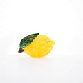 Lemon Hair Claw