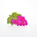 Grapes Hair Claw