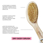 Dry Body Brush