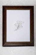 Ethereal White Flower - White
