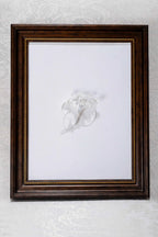 Ethereal White Flower - White